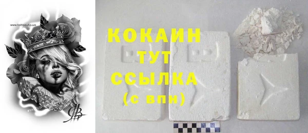 крисы Бородино