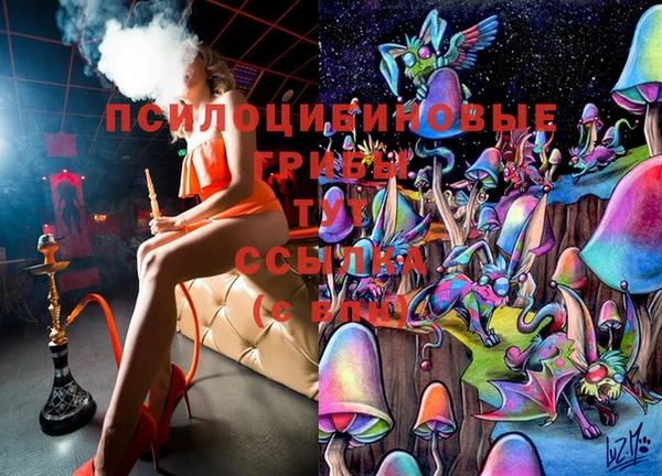mdpv Верхний Тагил