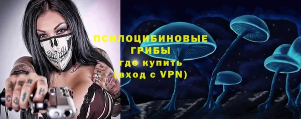 apvp Сясьстрой