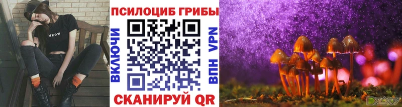 Псилоцибиновые грибы GOLDEN TEACHER  цена наркотик  Кирово-Чепецк 